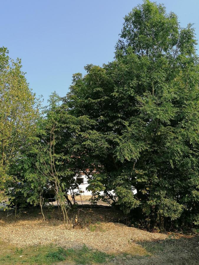 Camping Weides كُبس المظهر الخارجي الصورة